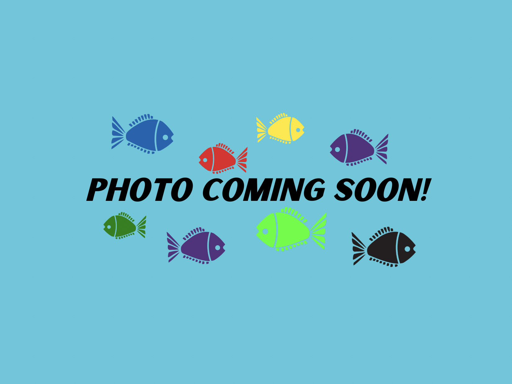 Photo Coming Soon! – 1 Placeholder for Photo